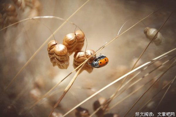 “郑爽为什么总是爱得很卑微？”：这件事，是每个人都难逃的魔咒