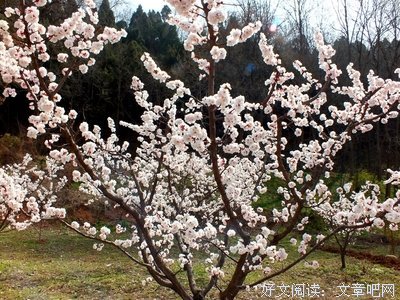 庆山名言