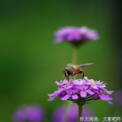 人生经典名句