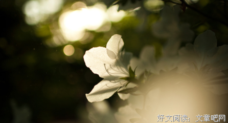 绿豆沙内得样句子大全
