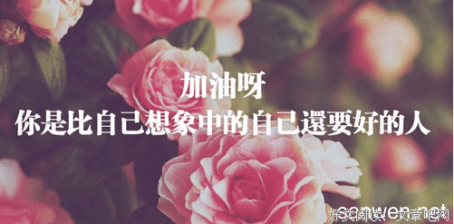 到的年青春名句欣赏
