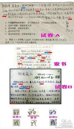 韩寒的语句摘抄_关于韩寒的语句