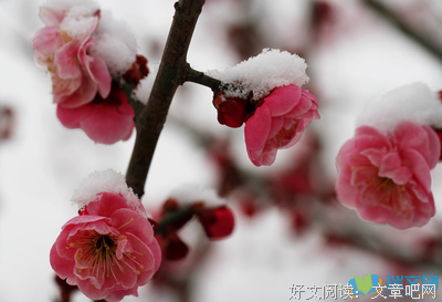 关于不近人情的语句