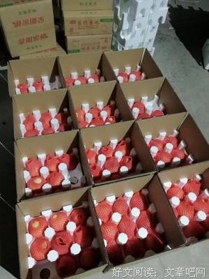 霜冬雪的语句摘抄_关于霜冬雪的语句