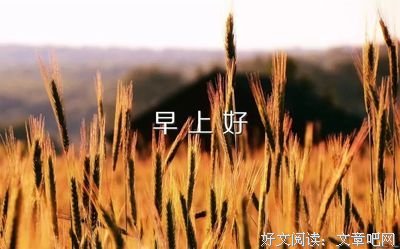 关于烦心的唯美语录