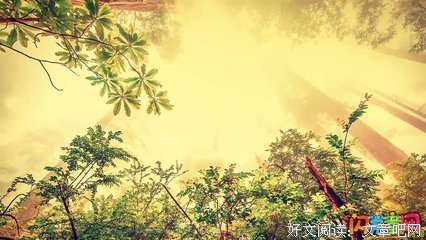 有关小说。的句子