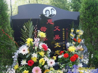 有关小相思的句子