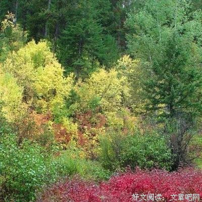 尼采经典名句