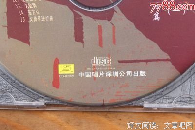 《激情的岁月》的观后感10篇