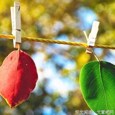 世上没有感同身受，只有冷暖自知
