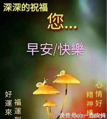 许忘的句子