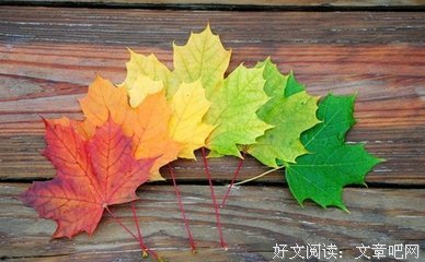 故地重游的句子