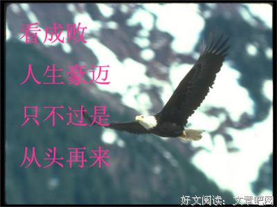 关于生命诚可贵的语句