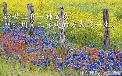 关于心里有数的语句