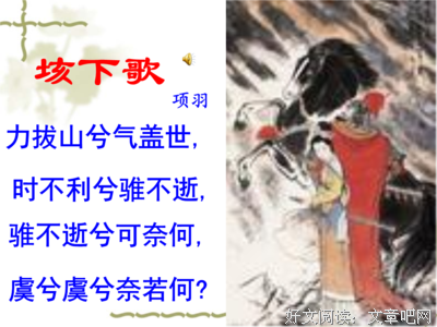 关于不为鱼肉的优美句子