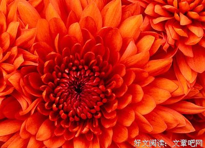 开天考备自边素材句子