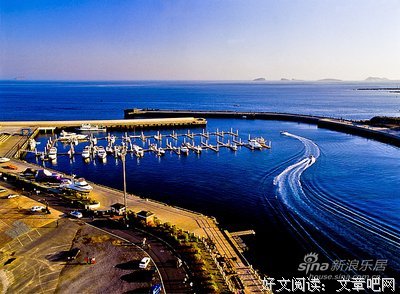 《我的句集》的句子