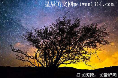 经典美文经典的句子