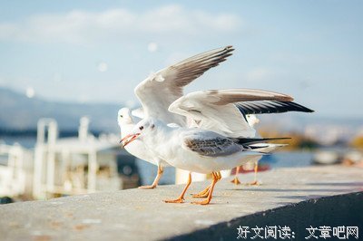 爱我所爱，静思流年句子