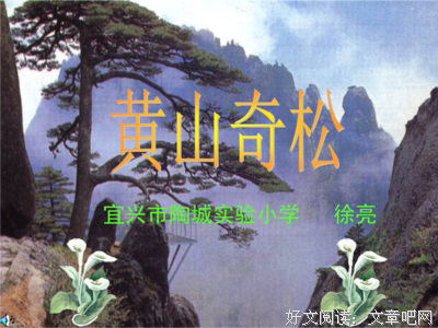 描写千姿百态的经典句子