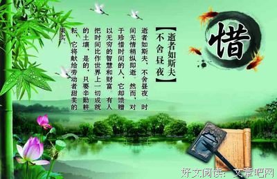 荷生的名句_关于荷生的名句