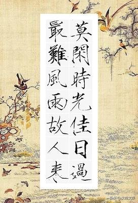 一晃一晃格言警句