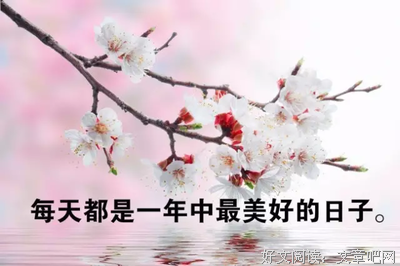 一蹶不振的句子