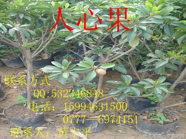 人心啊，人心！