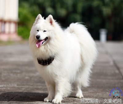 妮妮的句子