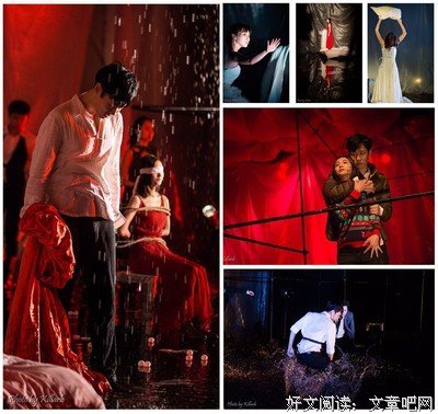 最全的《一个陌生女人的来信》经典语录