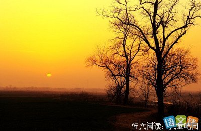 关于名著的优美句子