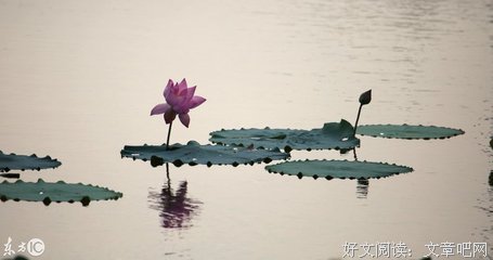 想到你经典名句
