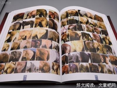 有关收录的句子