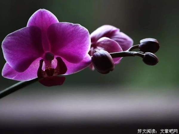 人啊，糊涂是本事，知足是聪明！ 