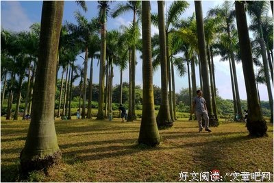 15条关于夫山的经典语句