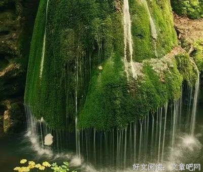 最新的《世界尽头与冷酷仙境》语录摘抄大全