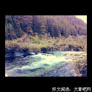 最新的《你是锦瑟，我为流年》名句欣赏