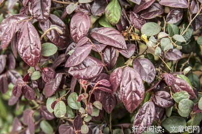 《飘飘荡荡》的句子