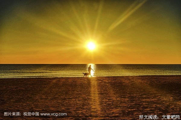 遛狗事件再引热搜：“教养”，一个人刻进骨里的通行证