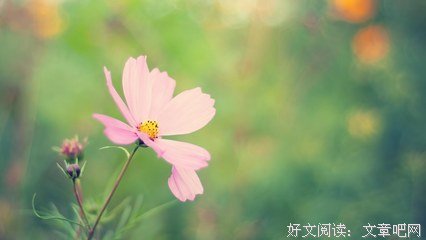 有关剪不断军样作外成种想自道乱的句子