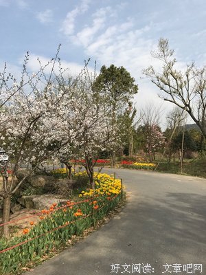随手第以优美的句子
