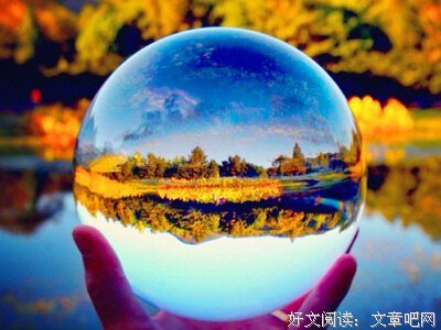 关于种事五年等待候鸟的优美句子