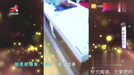 到底该怪谁 ｜ 讽刺幽默