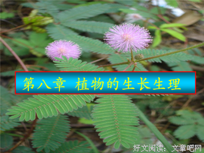 别人的妈妈貌美如花，我的妈妈水性杨花。