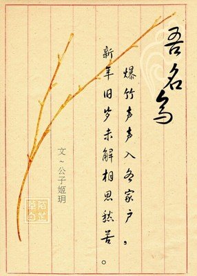 我的的句子