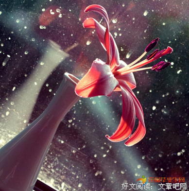 我过么空中的雨滴句子