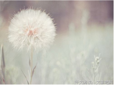 关于随笔的优美句子
