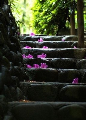 《她在红尘外》经典读后感10篇