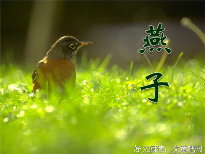 描写小鱼的经典句子