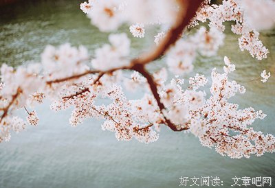 关于月亮小语的名句摘抄